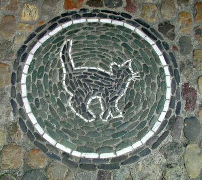 Katze